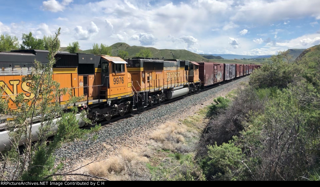 BNSF 9976/9880